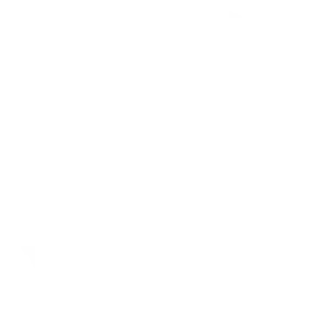 NATSAP Logo